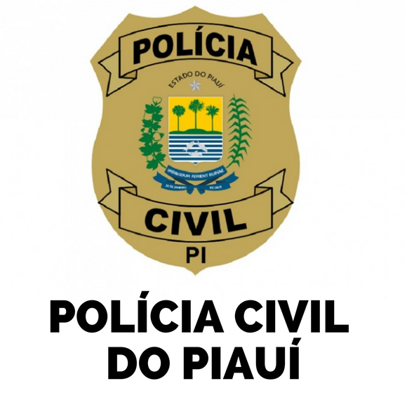 Simulados Polícia Civil do Piauí - PCPI